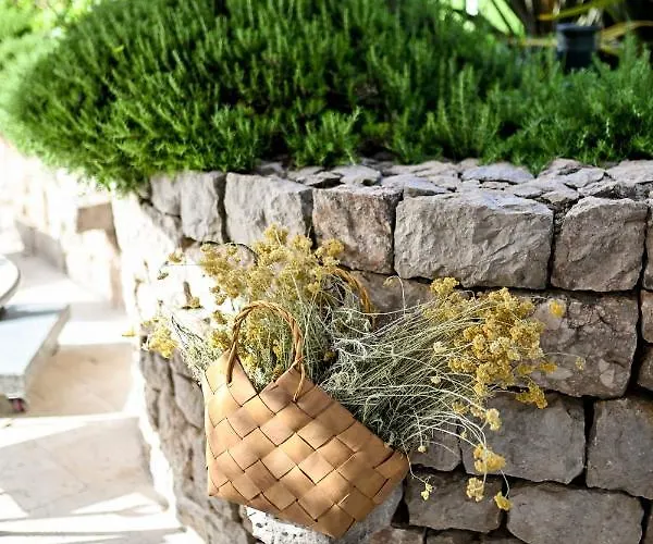 Hresc M 4* 扎达尔