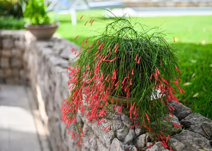 Hresc M Gostinjska kuća